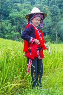 Ha Giang, Vietnam - Ekim 14: Kırmızı Dao azınlık Ha Giang Vietnam üzerinde 14 Eylül 2018 yakınlarındaki bir kasabada'kadın. Kırmızı Dao Vietnam 54 etnik gruplarından biridir