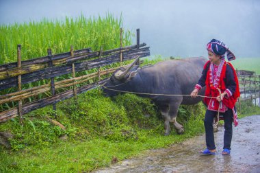 Ha Giang, Vietnam - Ekim 14: Kırmızı Dao azınlık Ha Giang Vietnam üzerinde 14 Eylül 2018 yakınlarındaki bir kasabada'kadın. Kırmızı Dao Vietnam 54 etnik gruplarından biridir