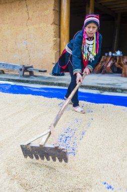 Ha Giang, Vietnam - Ekim 14: Kırmızı Dao azınlık Ha Giang Vietnam üzerinde 14 Eylül 2018 yakınlarındaki bir kasabada'kadın. Kırmızı Dao Vietnam 54 etnik gruplarından biridir