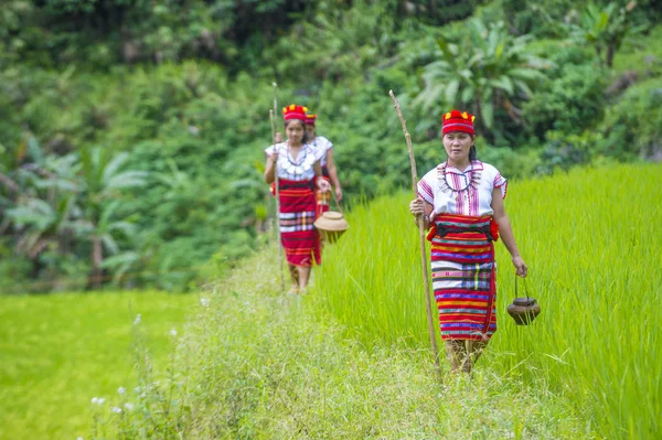 Banaue, Filipinler - Mayıs 02: Azınlık Ifugao pirinç terasları Banaue Türkiye üzerinde 02 Mayıs 2018 yılında yakınındaki kadınlar. Kuzey Filipinler dağların çoğunlukla canlı Ifugao azınlık