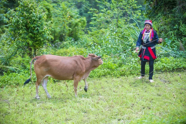 Giang Vietnam Sep Mujer Minoría Red Dao Pueblo Cerca Giang — Foto de Stock