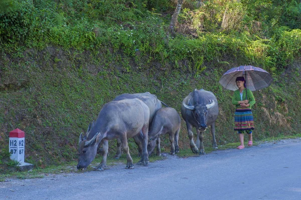 2018 日ベトナム ハザン近く Countrside Giang ベトナム Sep ベトナム農民 田舎の村に住んでいるベトナムの人口の約 — ストック写真