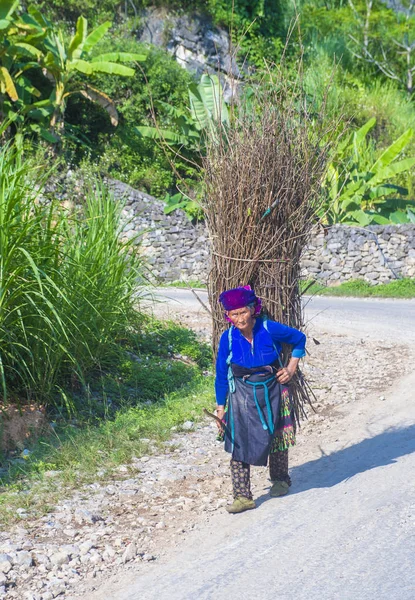 Ha Giang, Vietnam - 15 Eylül: Vietnam çiftçi Ha Giang Vietnam üzerinde 15 Eylül 2018 yakınındaki bir countrside. kırsal köylerde yaşayan Vietnam nüfusunun neredeyse yüzde 80'i