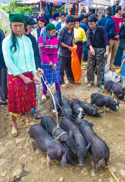 Dong Van, Vietnam - Ekim 16: Hafta sonu Pazar Dong Van Vietnam üzerinde 16 Eylül 2018. Piyasada çevreleyen tepelerden etnik gruplar için ticari bir yer