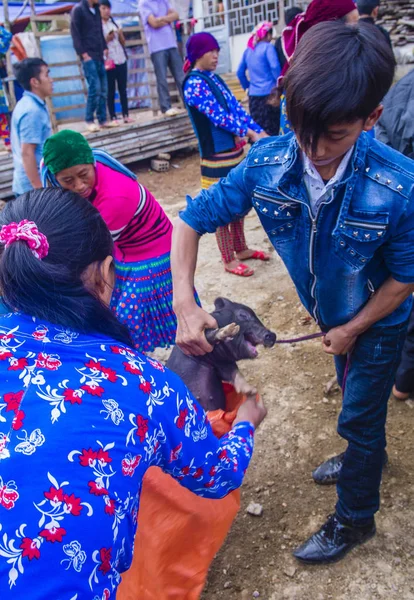Dong Van, Vietnam - Ekim 16: Hafta sonu Pazar Dong Van Vietnam üzerinde 16 Eylül 2018. Piyasada çevreleyen tepelerden etnik gruplar için ticari bir yer