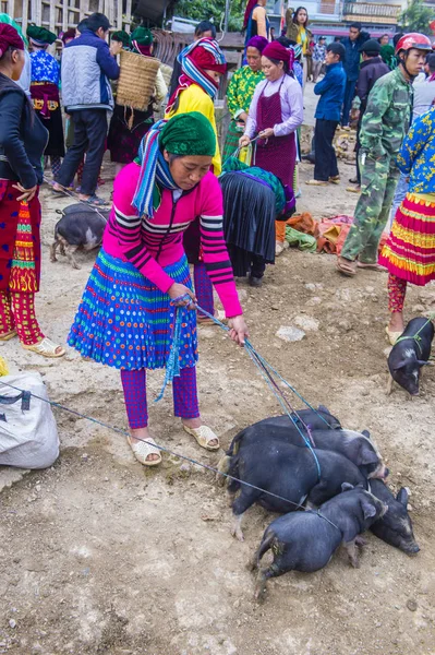 Dong Van, Vietnam - Ekim 16: Hafta sonu Pazar Dong Van Vietnam üzerinde 16 Eylül 2018. Piyasada çevreleyen tepelerden etnik gruplar için ticari bir yer
