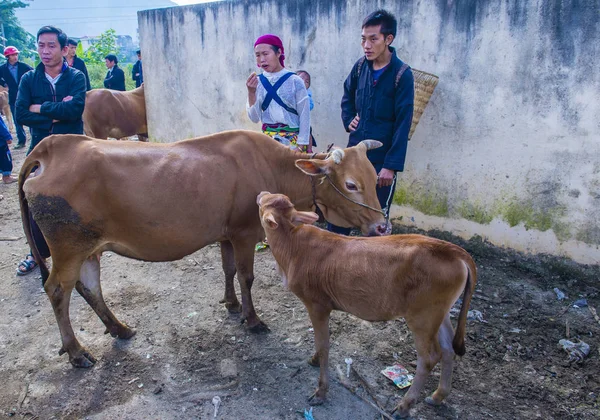 Dong Van Vietnam Září Víkendový Trh Vietnamu Van Dong Září — Stock fotografie