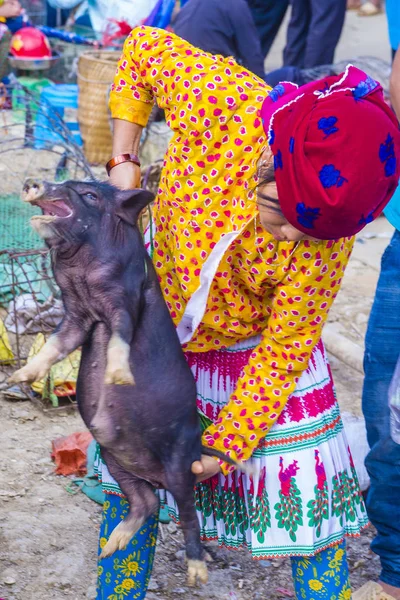 Dong Van, Vietnam - Ekim 16: Hafta sonu Pazar Dong Van Vietnam üzerinde 16 Eylül 2018. Piyasada çevreleyen tepelerden etnik gruplar için ticari bir yer