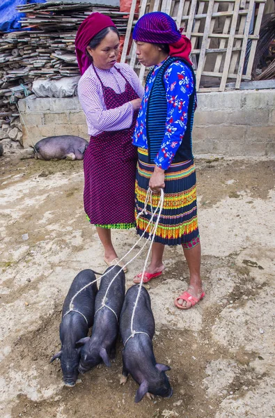 Dong Van, Vietnam - Ekim 16: Hafta sonu Pazar Dong Van Vietnam üzerinde 16 Eylül 2018. Piyasada çevreleyen tepelerden etnik gruplar için ticari bir yer