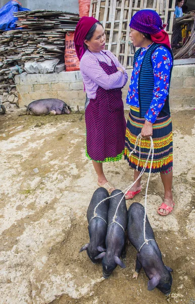 Dong Van, Vietnam - Ekim 16: Hafta sonu Pazar Dong Van Vietnam üzerinde 16 Eylül 2018. Piyasada çevreleyen tepelerden etnik gruplar için ticari bir yer