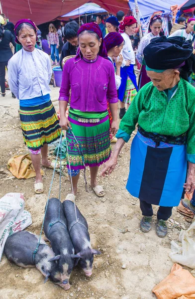 Dong Van, Vietnam - Ekim 16: Hafta sonu Pazar Dong Van Vietnam üzerinde 16 Eylül 2018. Piyasada çevreleyen tepelerden etnik gruplar için ticari bir yer