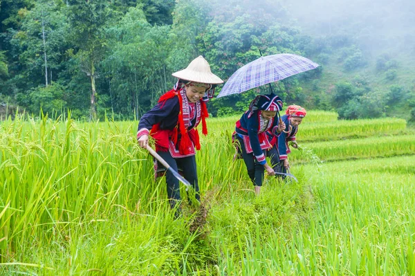 Ha Giang, Vietnam - Ekim 14: Kırmızı Dao azınlık Ha Giang Vietnam üzerinde 14 Eylül 2018 yakınlarındaki bir kasabada kadınlar. Kırmızı Dao Vietnam 54 etnik gruplarından biridir