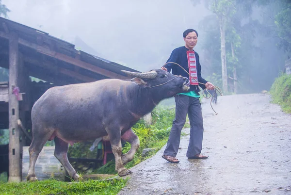 Giang Vietnam Sep Man Uit Red Dao Minderheid Een Dorpje — Stockfoto