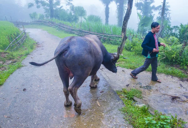 Giang Vietnam Sep Man Uit Red Dao Minderheid Een Dorpje — Stockfoto