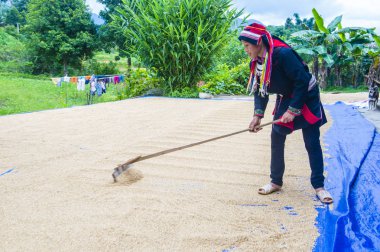 Ha Giang, Vietnam - Ekim 14: Kırmızı Dao azınlık Ha Giang Vietnam üzerinde 14 Eylül 2018 yakınlarındaki bir kasabada'kadın. Kırmızı Dao Vietnam 54 etnik gruplarından biridir