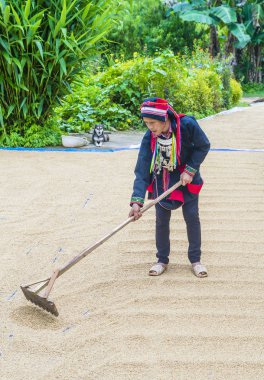 Ha Giang, Vietnam - Ekim 14: Kırmızı Dao azınlık Ha Giang Vietnam üzerinde 14 Eylül 2018 yakınlarındaki bir kasabada'kadın. Kırmızı Dao Vietnam 54 etnik gruplarından biridir