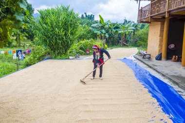 Ha Giang, Vietnam - Ekim 14: Kırmızı Dao azınlık Ha Giang Vietnam üzerinde 14 Eylül 2018 yakınlarındaki bir kasabada'kadın. Kırmızı Dao Vietnam 54 etnik gruplarından biridir