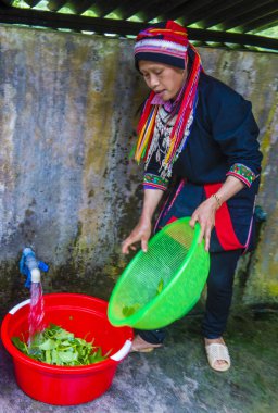 Ha Giang, Vietnam - Ekim 14: Kırmızı Dao azınlık Ha Giang Vietnam üzerinde 14 Eylül 2018 yakınlarındaki bir kasabada'kadın. Kırmızı Dao Vietnam 54 etnik gruplarından biridir