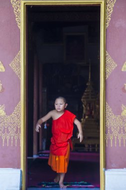 Luang Prabang, Laos - 12 Ağustos 2018: Acemi keşiş Luang Prabang Laos üzerinde 12 Ağustos 2018. Bu yaklaşık 1 içinde 3 erkek Laotians bir manastır en azından bir süre için katılmak tahmin edilmektedir