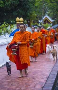 Luang Prabang, Laos - 11 Ağustos 2018: Luang Prabang Laos'ta üzerinde 11 Ağustos 2018 töreni Budist sadaka. Bu yaklaşık 1 içinde 3 erkek Laotians bir manastır katılmak tahmin edilmektedir
