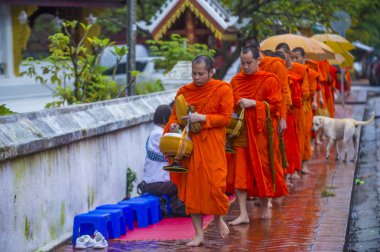 Luang Prabang, Laos - 11 Ağustos 2018: Luang Prabang Laos'ta üzerinde 11 Ağustos 2018 töreni Budist sadaka. Bu yaklaşık 1 içinde 3 erkek Laotians bir manastır katılmak tahmin edilmektedir