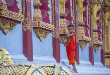 Luang Prabang, Laos - 12 Ağustos 2018: Acemi keşiş Luang Prabang Laos üzerinde 12 Ağustos 2018. Bu yaklaşık 1 içinde 3 erkek Laotians bir manastır en azından bir süre için katılmak tahmin edilmektedir