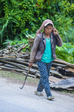 Luang Prabang, Laos - Ağustos 14: Laos çiftçi Luang Prabang Laos üzerinde 14 Ağustos 2018 yakınındaki countrside. Laos hayatımızda köylerde nüfusun neredeyse yüzde 70'i 
