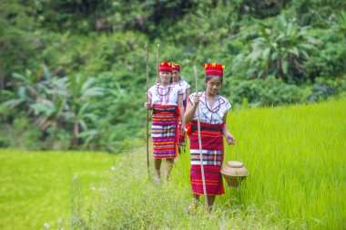 Banaue, Filipinler - Mayıs 02: Azınlık Ifugao pirinç terasları Banaue Türkiye üzerinde 02 Mayıs 2018 yılında yakınındaki kadınlar. Kuzey Filipinler dağların çoğunlukla canlı Ifugao azınlık