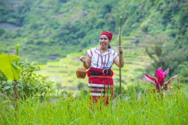 Banaue, Filipinler - Mayıs 02: Kadından Ifugao pirinç terasları Banaue Türkiye üzerinde 02 Mayıs 2018 yılında yakınındaki azınlık. Kuzey Filipinler dağların çoğunlukla canlı Ifugao azınlık