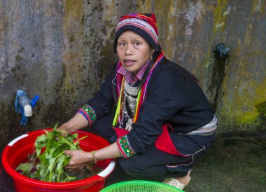 Ha Giang, Vietnam - Ekim 14: Kırmızı Dao azınlık Ha Giang Vietnam üzerinde 14 Eylül 2018 yakınlarındaki bir kasabada'kadın. Kırmızı Dao Vietnam 54 etnik gruplarından biridir