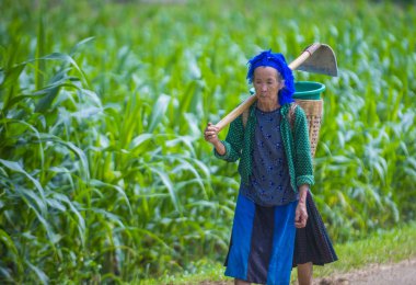 Ha Giang, Vietnam - 15 Eylül: Vietnam çiftçi Ha Giang Vietnam üzerinde 15 Eylül 2018 yakınındaki bir countrside. kırsal köylerde yaşayan Vietnam nüfusunun neredeyse yüzde 80'i
