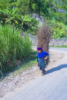 Ha Giang, Vietnam - 15 Eylül: Vietnam çiftçi Ha Giang Vietnam üzerinde 15 Eylül 2018 yakınındaki bir countrside. kırsal köylerde yaşayan Vietnam nüfusunun neredeyse yüzde 80'i