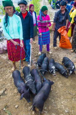 Dong Van, Vietnam - Ekim 16: Hafta sonu Pazar Dong Van Vietnam üzerinde 16 Eylül 2018. Piyasada çevreleyen tepelerden etnik gruplar için ticari bir yer