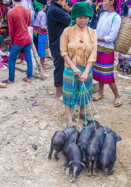 Dong Van, Vietnam - Ekim 16: Hafta sonu Pazar Dong Van Vietnam üzerinde 16 Eylül 2018. Piyasada çevreleyen tepelerden etnik gruplar için ticari bir yer