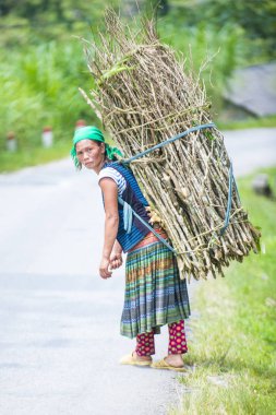 Ha Giang, Vietnam - 15 Eylül: Vietnam çiftçi Ha Giang Vietnam üzerinde 15 Eylül 2018 yakınındaki bir countrside. kırsal köylerde yaşayan Vietnam nüfusunun neredeyse yüzde 80'i