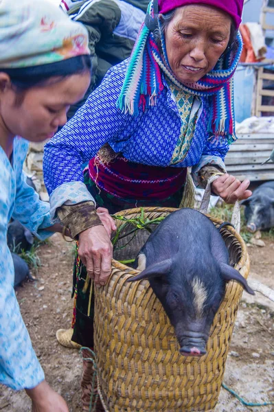 Dong Van, Vietnam - Ekim 16: Hafta sonu Pazar Dong Van Vietnam üzerinde 16 Eylül 2018. Piyasada çevreleyen tepelerden etnik gruplar için ticari bir yer
