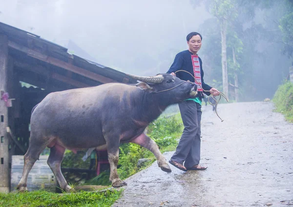 Ha Giang, Vietnam - Ekim 14: Kırmızı Dao azınlık Ha Giang Vietnam üzerinde 14 Eylül 2018 yakınlarındaki bir kasabada adamdan. Kırmızı Dao Vietnam 54 etnik gruplarından biridir