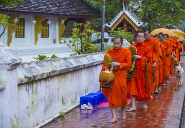 Luang Prabang, Laos - 11 Ağustos 2018: Luang Prabang Laos'ta üzerinde 11 Ağustos 2018 töreni Budist sadaka. Bu yaklaşık 1 içinde 3 erkek Laotians bir manastır katılmak tahmin edilmektedir