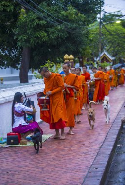 Luang Prabang, Laos - 11 Ağustos 2018: Luang Prabang Laos'ta üzerinde 11 Ağustos 2018 töreni Budist sadaka. Bu yaklaşık 1 içinde 3 erkek Laotians bir manastır katılmak tahmin edilmektedir