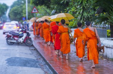 Luang Prabang, Laos - 11 Ağustos 2018: Luang Prabang Laos'ta üzerinde 11 Ağustos 2018 töreni Budist sadaka. Bu yaklaşık 1 içinde 3 erkek Laotians bir manastır katılmak tahmin edilmektedir