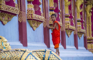 Luang Prabang, Laos - 12 Ağustos 2018: Acemi keşiş Luang Prabang Laos üzerinde 12 Ağustos 2018. Bu yaklaşık 1 içinde 3 erkek Laotians bir manastır en azından bir süre için katılmak tahmin edilmektedir