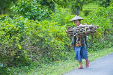 Luang Prabang, Laos - Ağustos 14: Laos çiftçi Luang Prabang Laos üzerinde 14 Ağustos 2018 yakınındaki countrside. Laos hayatımızda köylerde nüfusun neredeyse yüzde 70'i 