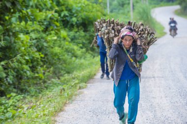 Luang Prabang, Laos - Ağustos 14: Laos çiftçi Luang Prabang Laos üzerinde 14 Ağustos 2018 yakınındaki countrside. Laos hayatımızda köylerde nüfusun neredeyse yüzde 70'i 