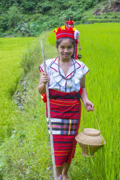 Banaue Filipinas Mayo Mujeres Minoría Ifugao Cerca Terrazas Arroz Banaue — Foto de Stock