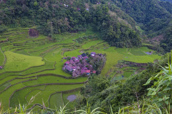 Näkymä Riisiterasseille Kentät Banaue Filippiinit Banaue Riisiterassit Ovat Unescon Maailmanperintökohde — kuvapankkivalokuva