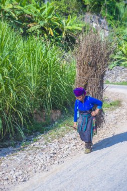 Ha Giang, Vietnam - 15 Eylül: Vietnam çiftçi Ha Giang Vietnam üzerinde 15 Eylül 2018 yakınındaki bir countrside. kırsal köylerde yaşayan Vietnam nüfusunun neredeyse yüzde 80'i