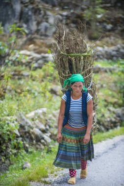 Ha Giang, Vietnam - 15 Eylül: Vietnam çiftçi Ha Giang Vietnam üzerinde 15 Eylül 2018 yakınındaki bir countrside. kırsal köylerde yaşayan Vietnam nüfusunun neredeyse yüzde 80'i