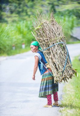 Ha Giang, Vietnam - 15 Eylül: Vietnam çiftçi Ha Giang Vietnam üzerinde 15 Eylül 2018 yakınındaki bir countrside. kırsal köylerde yaşayan Vietnam nüfusunun neredeyse yüzde 80'i
