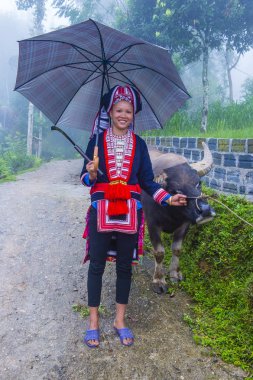 Ha Giang, Vietnam - Ekim 14: Kırmızı Dao azınlık Ha Giang Vietnam üzerinde 14 Eylül 2018 yakınlarındaki bir kasabada'kadın. Kırmızı Dao Vietnam 54 etnik gruplarından biridir
