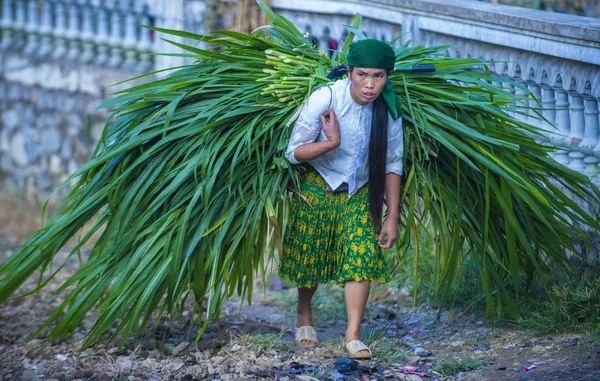 Giang Vietnam Sep Vietnamese Boer Een Countrside Buurt Van Giang — Stockfoto